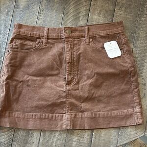 Anthropologie Brown Mini Skirt
